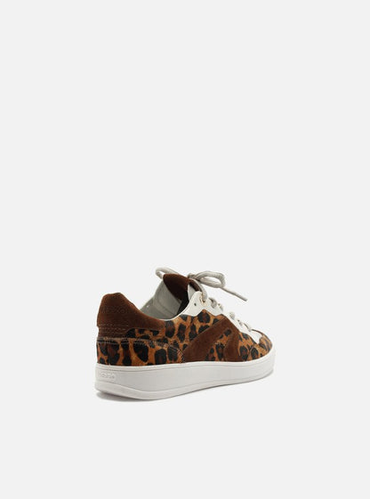 Arezzo Tênis Casual