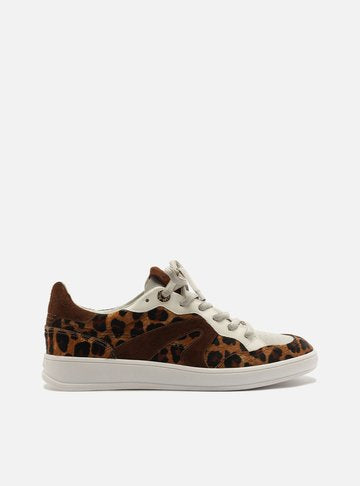 Arezzo Tênis Casual